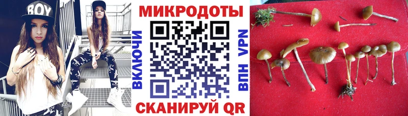 Псилоцибиновые грибы GOLDEN TEACHER  где можно купить наркотик  omg сайт  Колпашево 