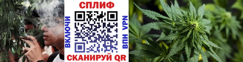 Каннабис MAZAR  продажа наркотиков  ОМГ ОМГ ONION  Колпашево 